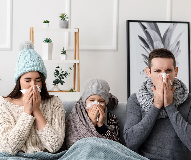Cmtb Terre Bonne Medical Center Article Seasonal Flu What You Need To Know Thumbnail